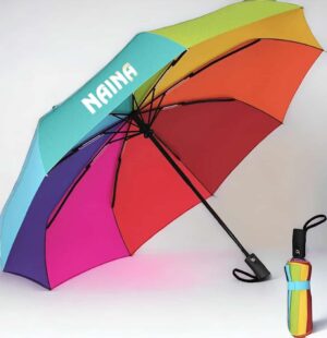 Ultimate All-Weather Compact Umbrella